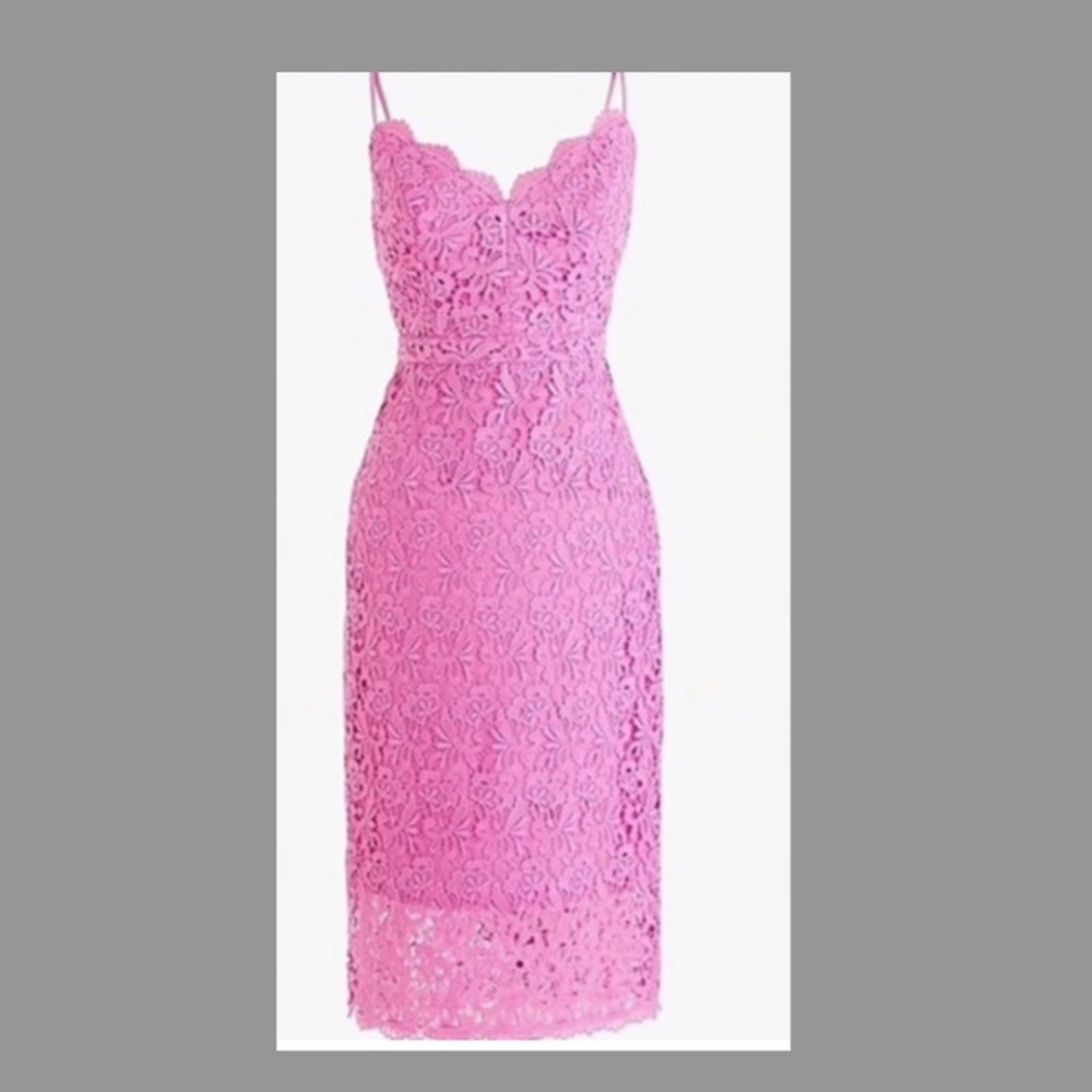 Beautiful J Crew Guipure Lace Dress